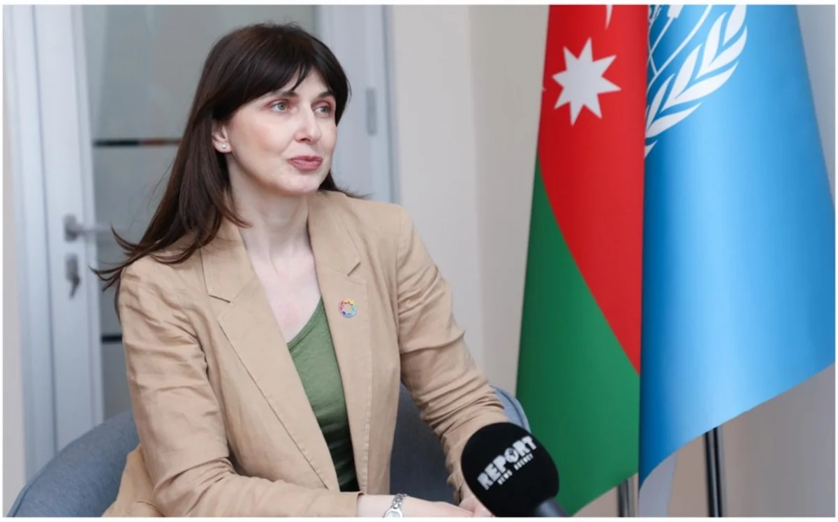 UN resident coordinator: COP29 will play crucial role in advancing climate action on worldwide scale