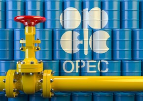 OPEC lowers forecast for global oil demand growth in 2021
