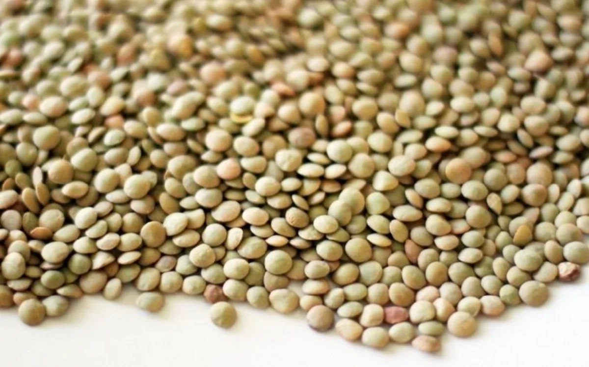 Azerbaijan sharply increases purchase of lentils from Kazakhstan