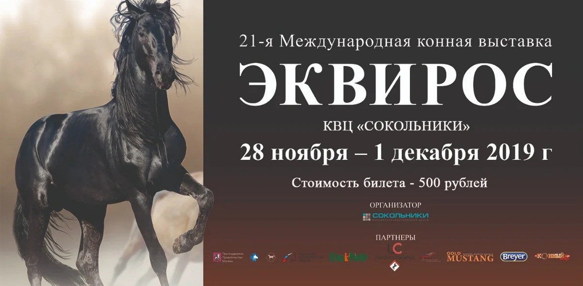 Moscow to host first exhibition of Karabakh horses