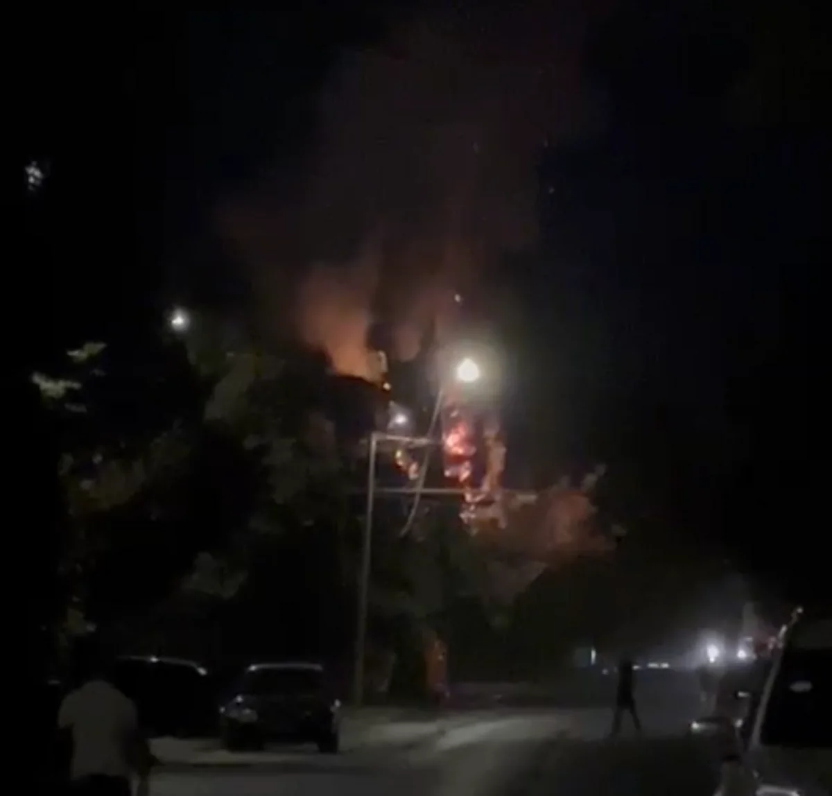 Sumqayıtda yanğın olub, şam ağaclarına ciddi ziyan dəyib