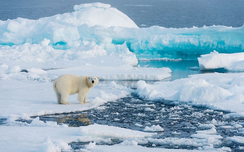 Seasonal peak of Arctic ice area drops to historic low