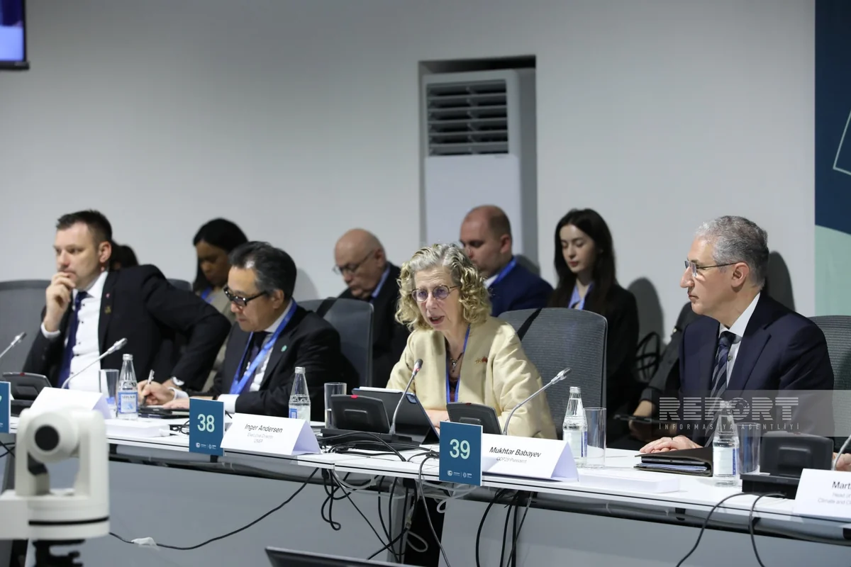 UN reveals main goals of COP29 Declaration on reducing methane from organic waste