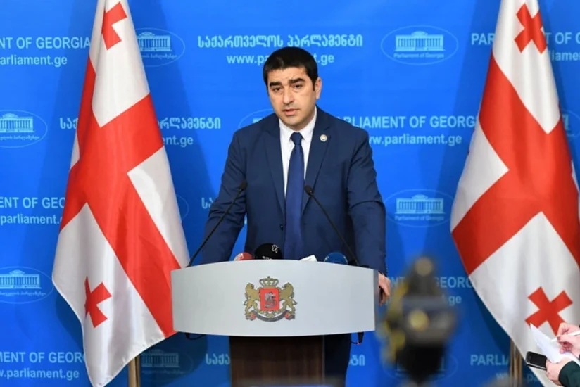 Спикер парламента Грузии: Нет никакого прямого финансирования из Франции