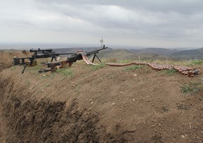 Прибывшие воевать на стороне Армении наемники отказались вступать в бой
