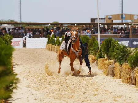 Turkish President watches performance featuring Karabakh horses