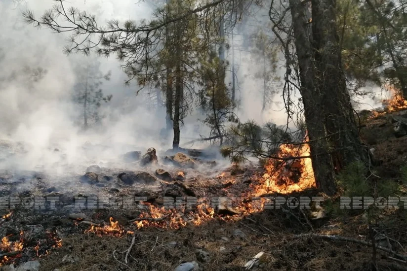 В Габале продолжается пожар в горной местности