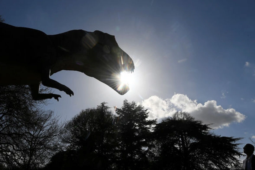 ABŞ-da dinozavrların yeni növü kəşf edilib