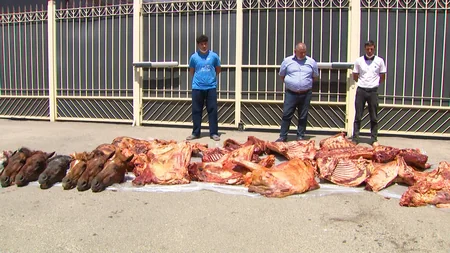 Ölü at ətini Bakıdakı iaşə obyektlərinə satan şəxslər həbs edildi - VİDEO