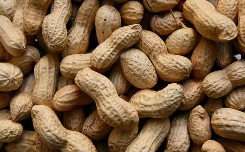 Turkiye increases export of peanuts to Azerbaijan by over 50 times