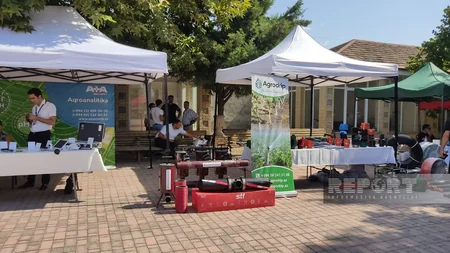 Şəkidə Aqrar İnnovasiya Festivalı və toxum yarmarkası keçirilib