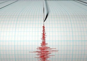 У берегов Мексики произошло землетрясение магнитудой 5,9