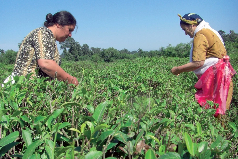 FAO to support women working in agrarian sector in Azerbaijan