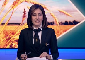 AQTA rəsmisi: “Virusun ölkəyə daxil olmasının qarşısını almaq üçün pomidor və bibər toxumları laboratoriyada yoxlanılır”
