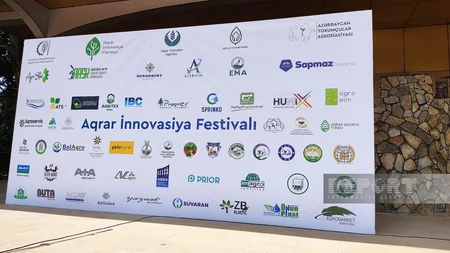 Şəkidə Aqrar İnnovasiya Festivalı və toxum yarmarkası keçirilib