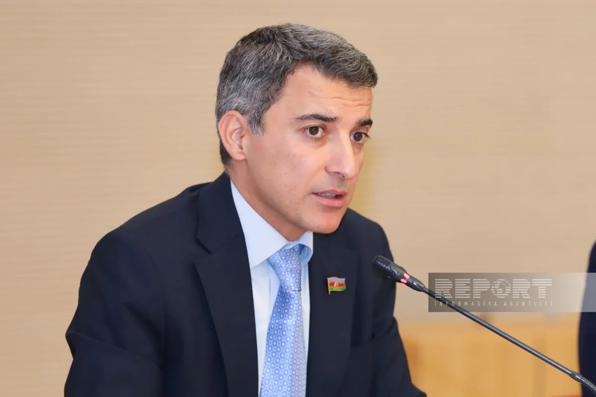 MP: Experts supporting Azerbaijan face persecution by Armenian Diaspora