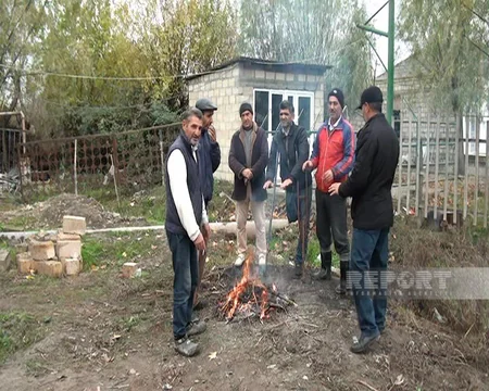 Ağdaşın Qaradeyin kəndinin yanacaq problemi: qaz yoxdur, odun tapmaq asan deyil