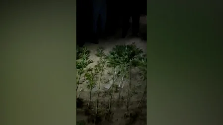 DİN 3 rayonda narkotiklərə qarşı əməliyyat keçirib, saxlanılanlar var - VİDEO