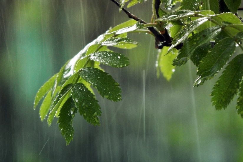 Temperature will fall down in some places tomorrow, rain expected