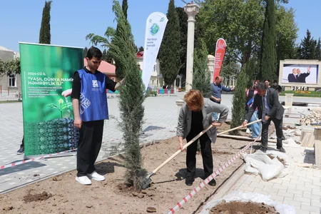 Samuxda ağacəkmə və təmizlik aksiyası keçirilib