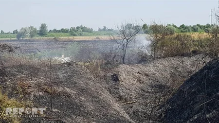 Göyçayda biçilmiş taxıl sahəsi yanıb - FOTO