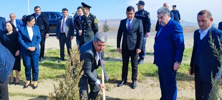 Hacıqabulda Heydər Əliyevin 100 illiyinə həsr olunmuş ağacəkmə aksiyası keçirilib