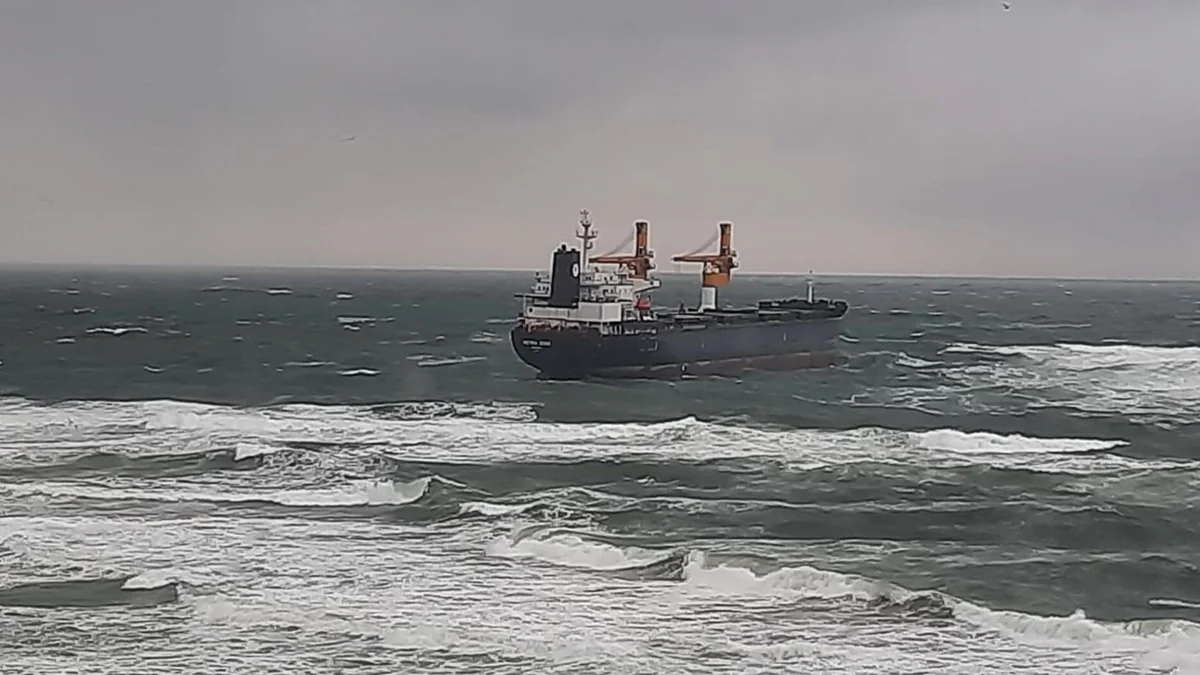 Cargo ship sinks in Sea of Marmara