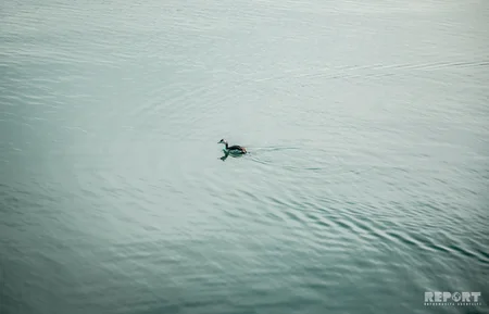 Blue Caspian of the White City - PHOTOREPORT