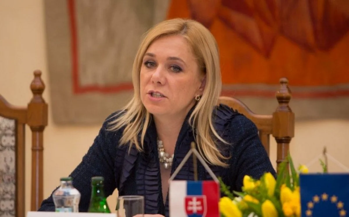 Дениса Сакова: Словакия рассчитывает на азербайджанский газ для диверсификации поставок