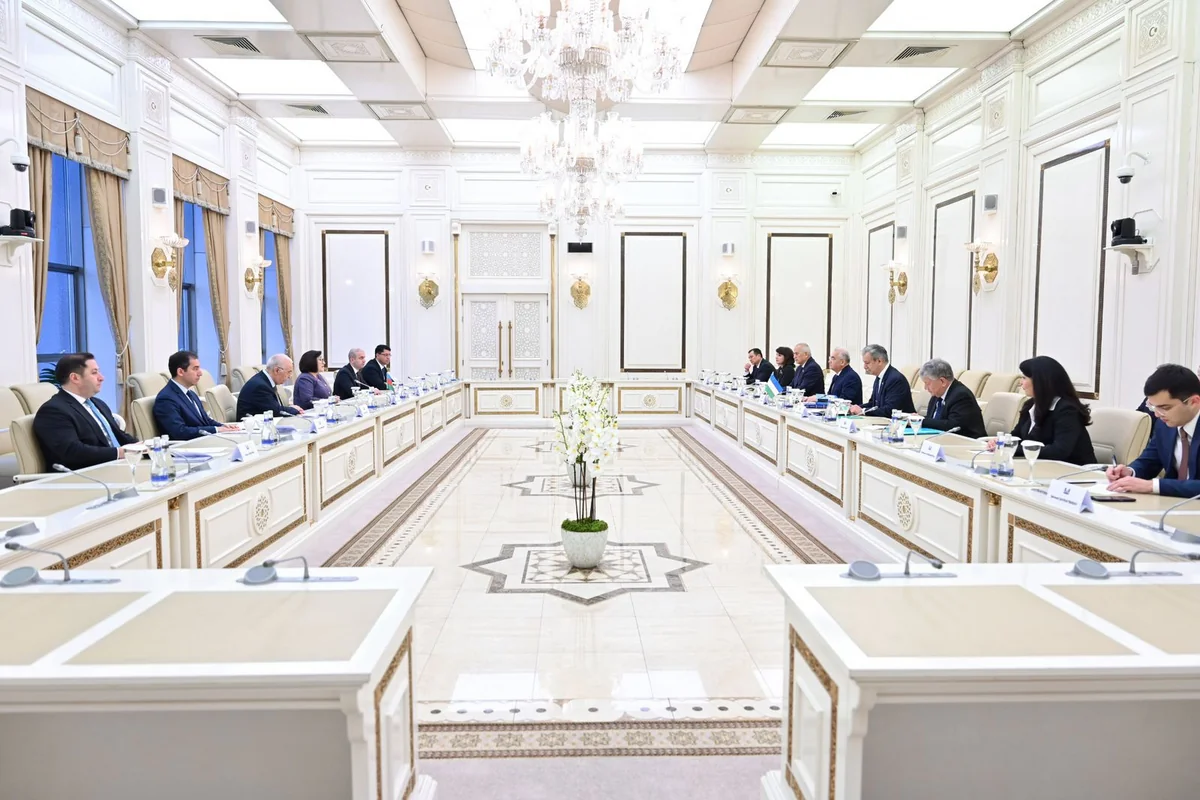 Sahibə Qafarova Özbəkistan parlamenti sədrinin birinci müavini ilə görüşüb