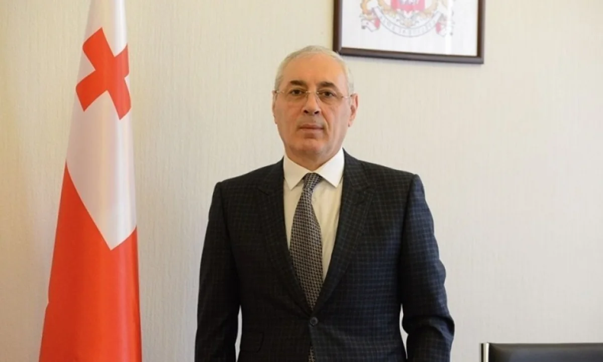 Gürcüstanda hakim partiyanın deputatı bizneslə məşğul olmaq üçün mandatından imtina edib