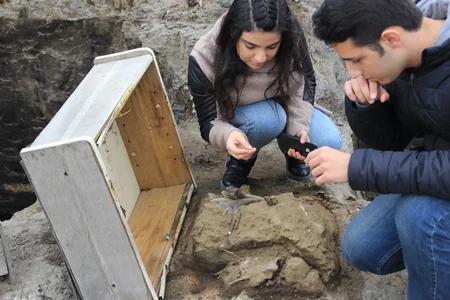 Məktəblilər Binəqədidə qazıntı zamanı kərgədan sümükləri aşkarlayıblar