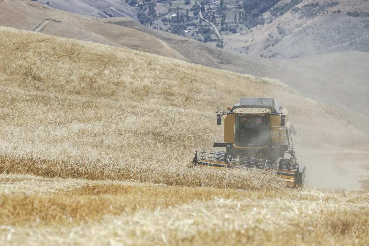 Azərbaycanda aqrar sektor 3 %  böyüyüb