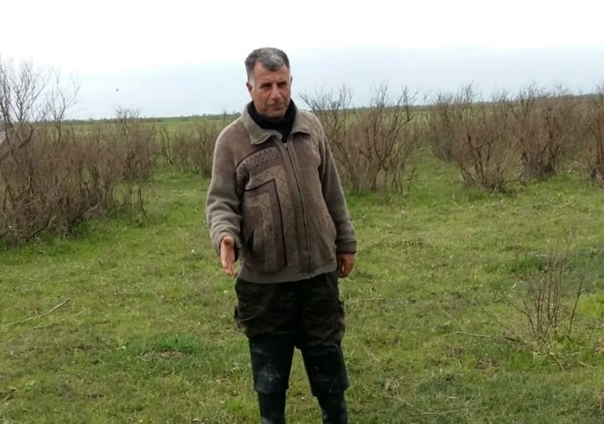 Qırmızı kitaba düşən quşu ovlayan şəxs saxlanılıb