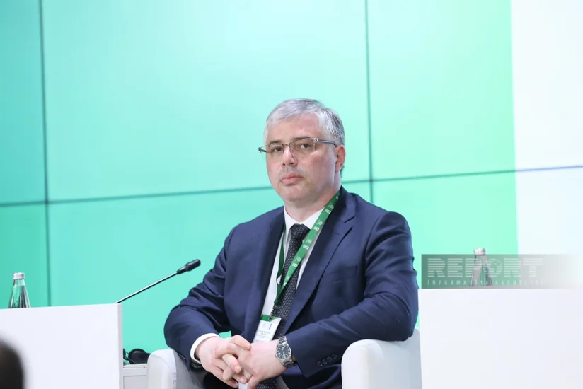 Samir Poladov: Karabakh region contaminated with around 1.5 million mines and explosive remnants