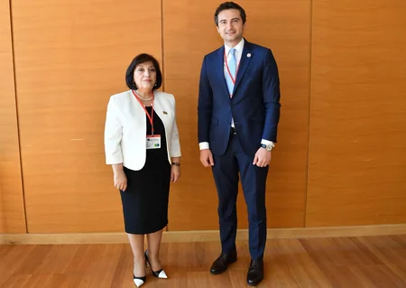 Azərbaycan və Gürcüstanın parlament sədrləri arasında görüş keçirilib