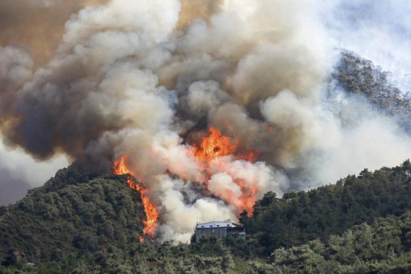 Havay adalarında meşə yanğınları nəticəsində 6 nəfər ölüb