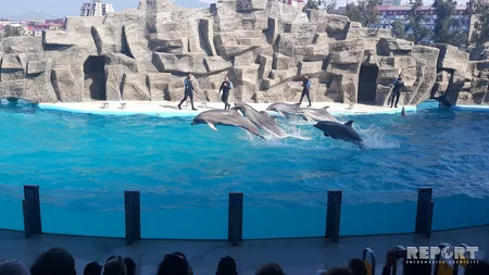 Батуми - жемчужина Черного моря, город с необычной архитектурой - РЕПОРТАЖ