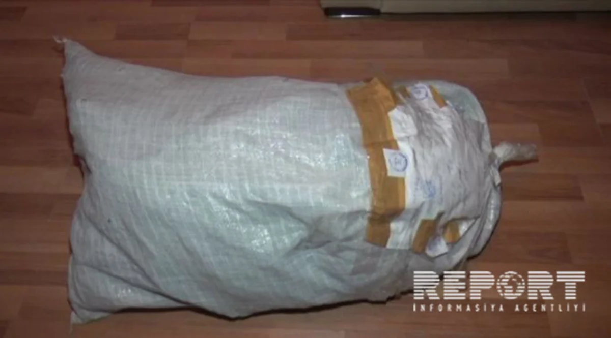 Cəlilabad sakininin həyətində 139 ədəd çətənə kolu aşkarlanıb