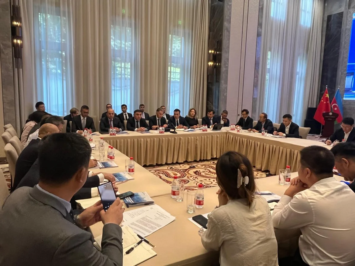 Azerbaijan, China explore enhancing Middle Corridor transmission capacity