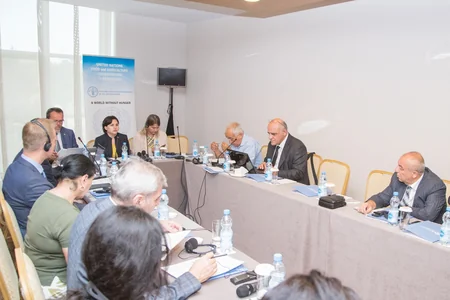 FAO: Azərbaycanın torpaqların konsolidasiyası üçün əlavə beynəlxalq texniki yardıma ehtiyacı var