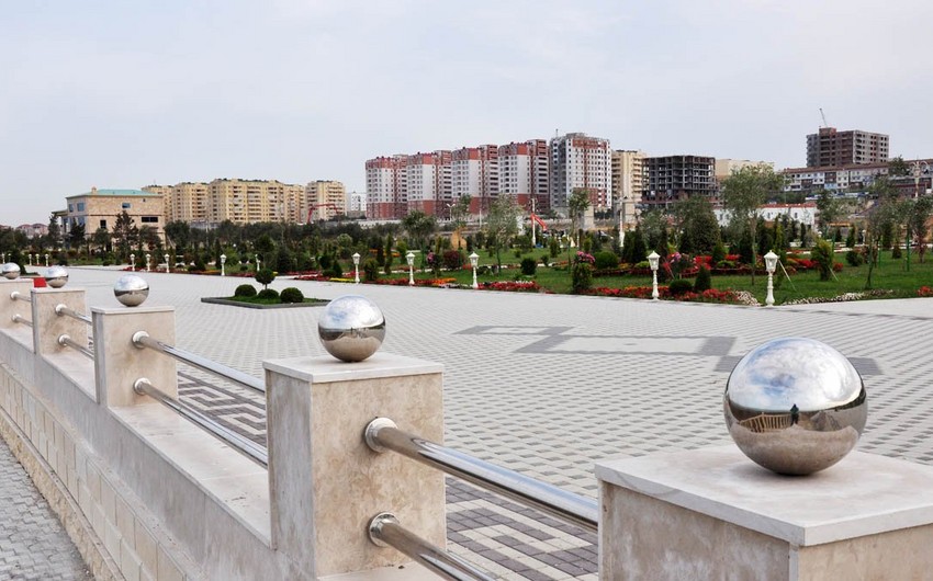 Sumqayıt bulvarında 160 min manatlıq ağac, kol bitkisi və gül əkiləcək