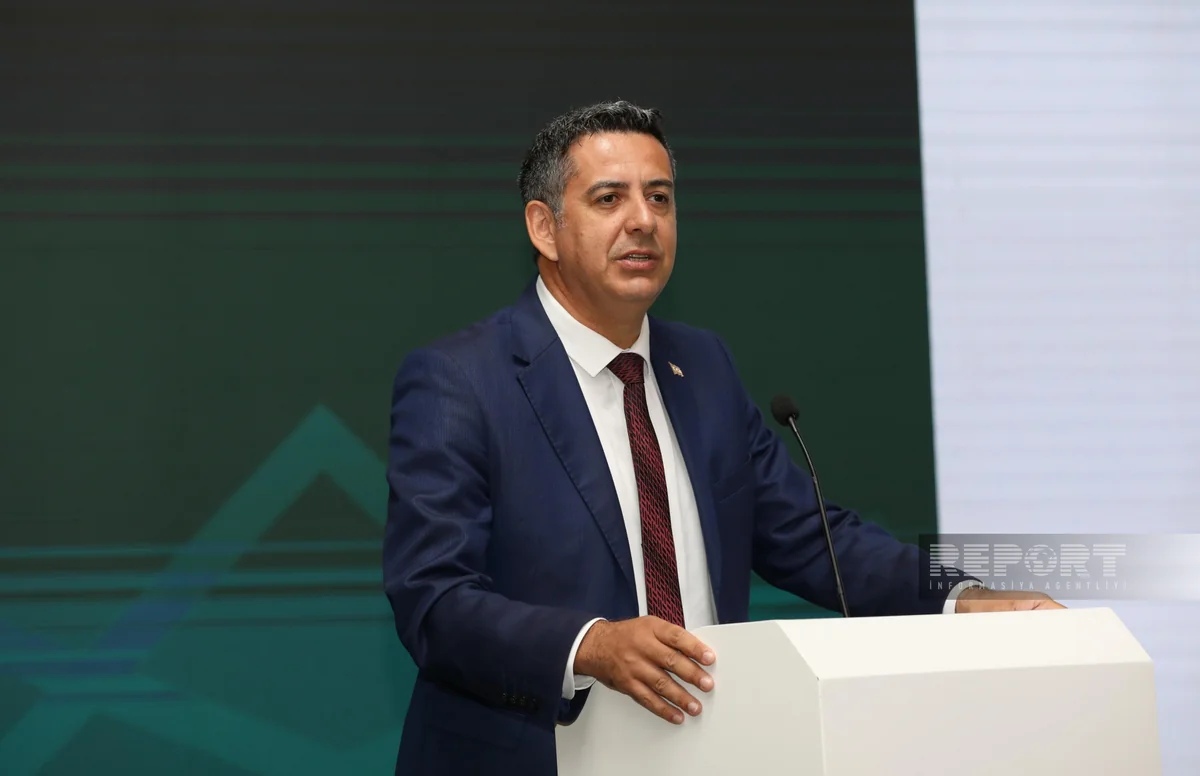 Şimali Kipr rəsmisi: İslamofobiyanın kökündə dayanan səbəblərdən biri Avropada müsəlmanların sosial çağırışlar etməsidir