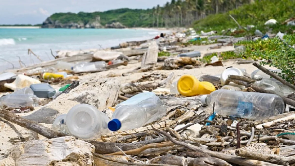 Azerbaijan to consider severe marine pollution a threat to national security​​​​​​​