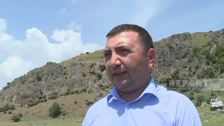 Lerikdə çəyirtkələr taxıl sahələri üçün təhlükə yaradıb