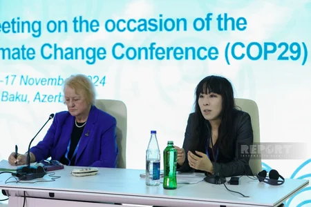 Promoting fair approach to combating climate change discussed at parliamentary meeting in Baku