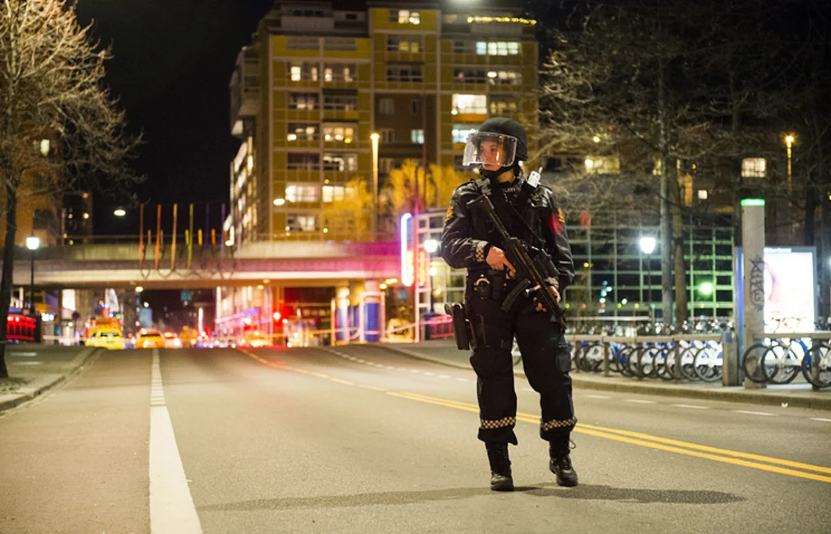 Norveç polisi: İŞİD ölkədə terror aktları təşkil edə bilər