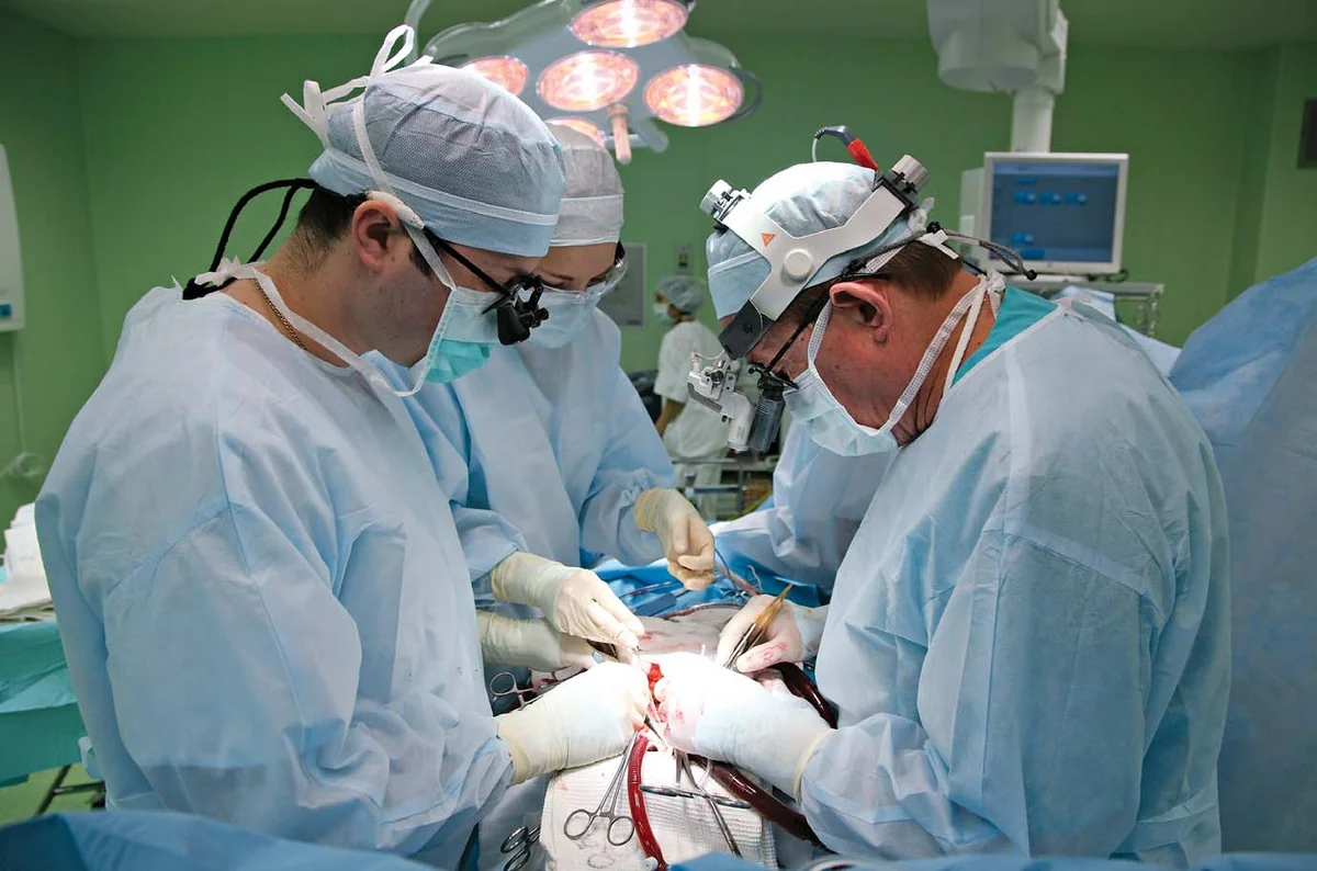Department Chief: '80-90 patients transplanted kidneys and liver in Azerbaijan every year'
