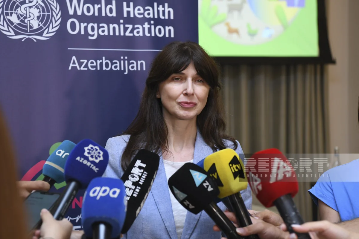 UN proposes creating working group to implement One Health concept in Azerbaijan
