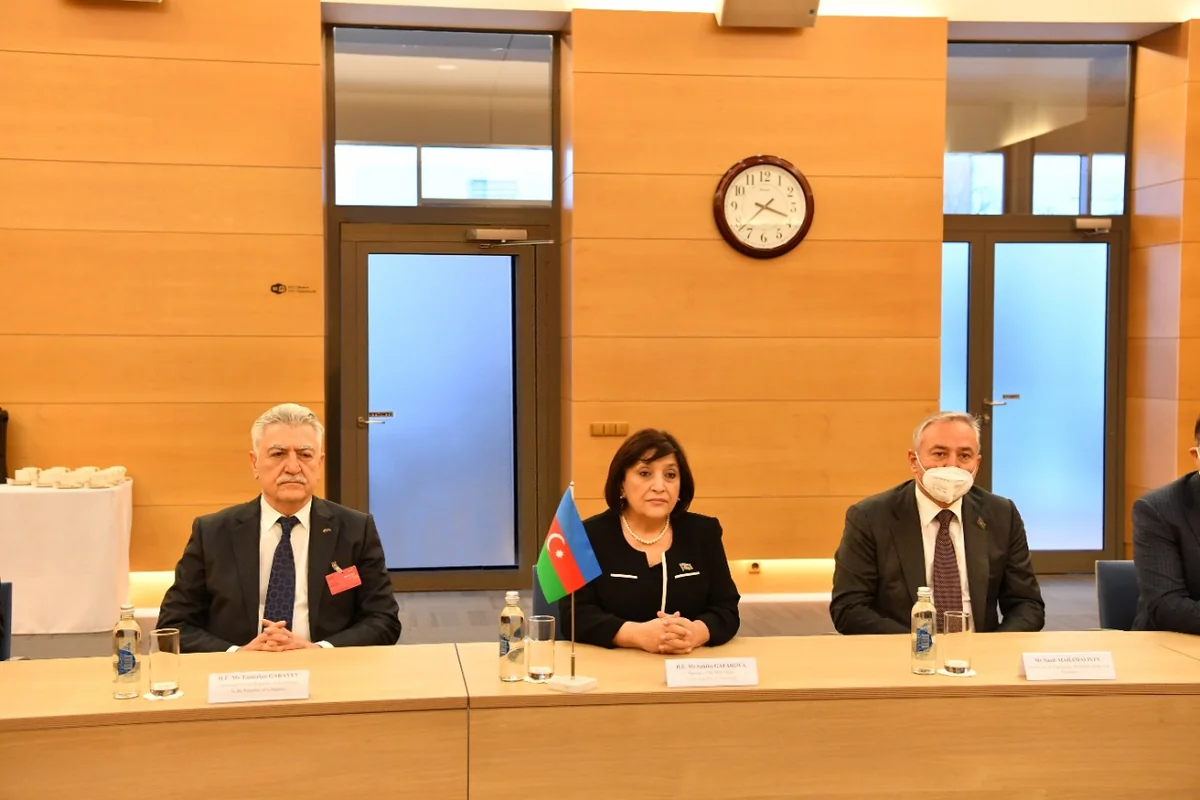 Sahibə Qafarova: Azərbaycan Cənub Qaz Dəhlizi vasitəsilə Avropanın etibarlı qaz tədarükçüsünə çevrilib